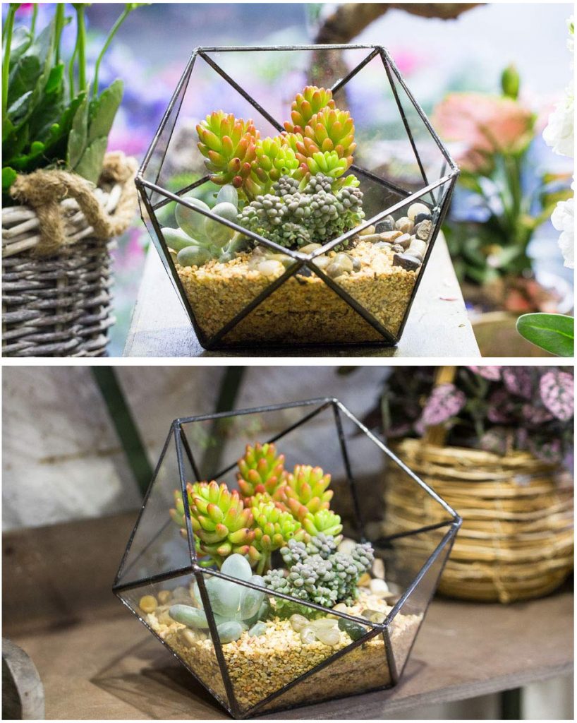 Screenshot_2019-01-07-Modern-Handmade-Triangular-Half-Ball-Glass-Geometric-Terrarium-Balcony-Bowl-Shape-Flower-Pot-Window-S...1-1-818x1024 Handmade Glass Geometric Terrarium for Succulents