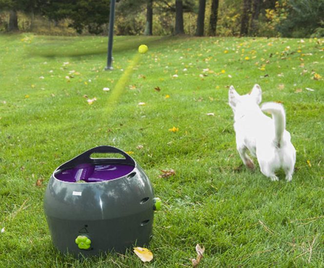 Automatic Tennis Ball Throwing Machine for Dog