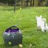 Bubble Window for Cats and Dogs Prevent From Jumping