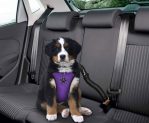 Car Vest Harness with Safety Seat Belt for Dogs