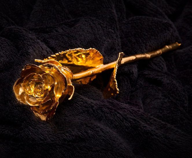 Real Rose Dipped in 24K Gold