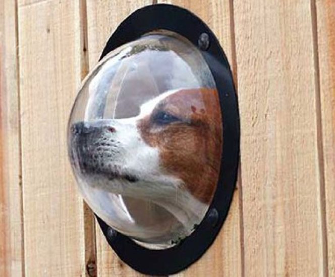 Bubble Window for Cats and Dogs Prevent From Jumping