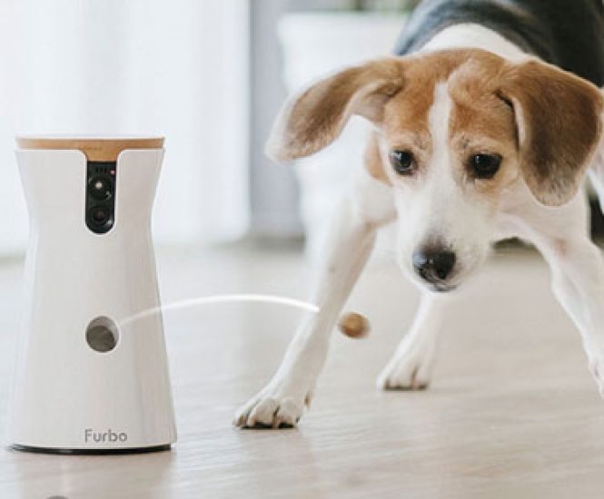 Full HD Wifi Dog Camera with 2-Way-Audio, Treat Tossing