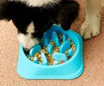 Slow Eating, Fun Foraging Dog Bowl