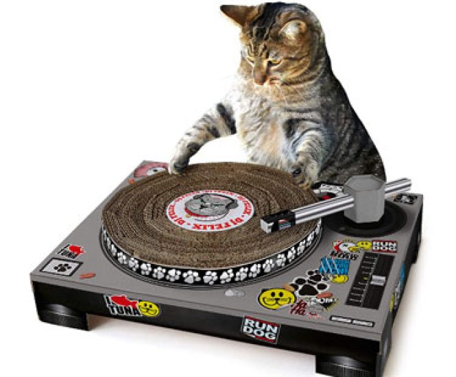 Cat Cardboard Turntable & DJ Mixer